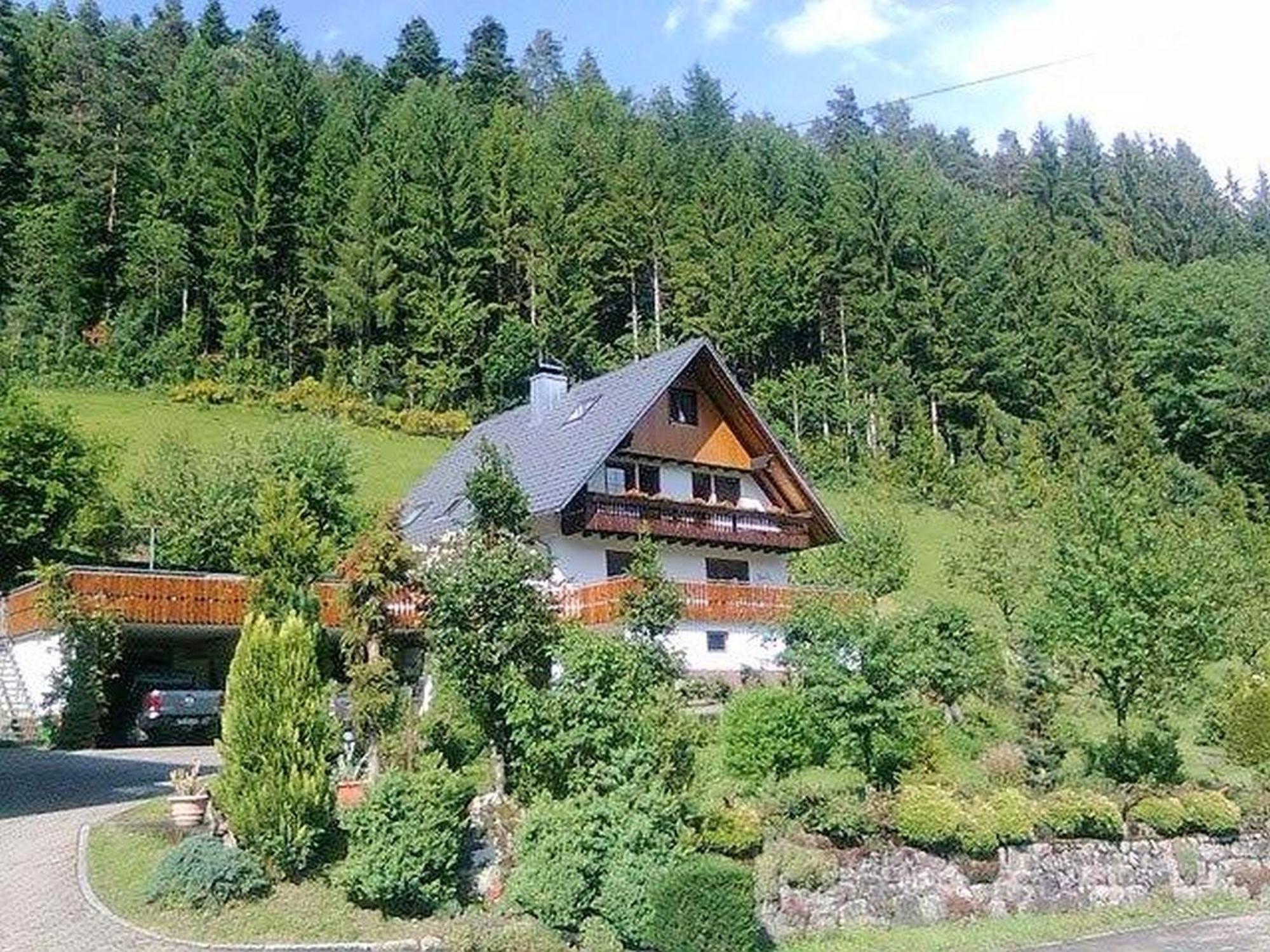 Waldbauernhof Appartement Hornberg Buitenkant foto