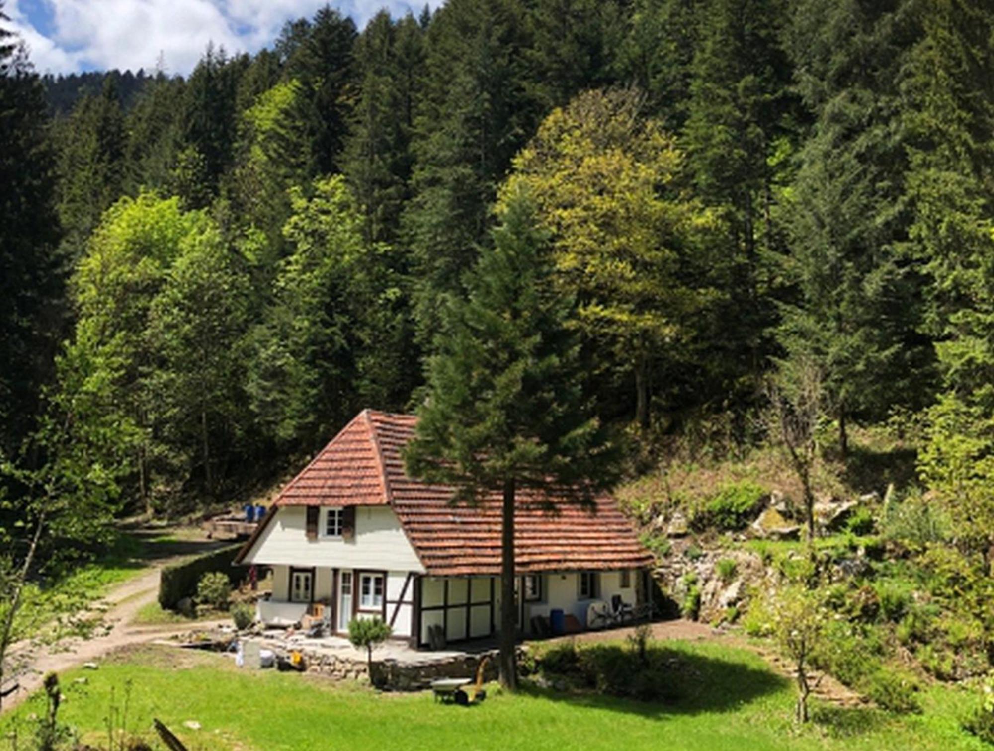 Waldbauernhof Appartement Hornberg Buitenkant foto